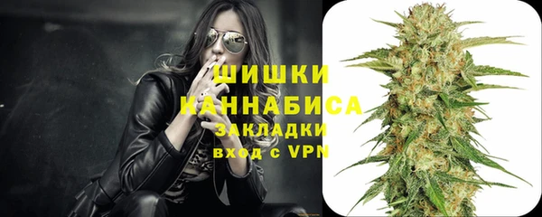 прущие грибы Балахна