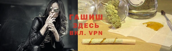 прущие грибы Балахна