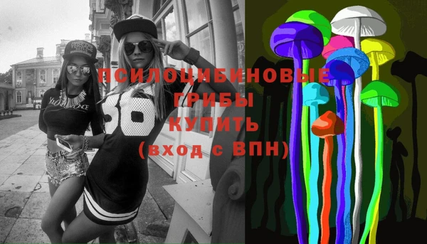 прущие грибы Балахна
