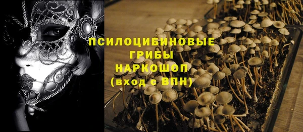 гашик Балабаново