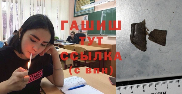 прущие грибы Балахна