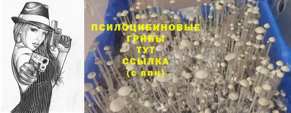 гашик Балабаново